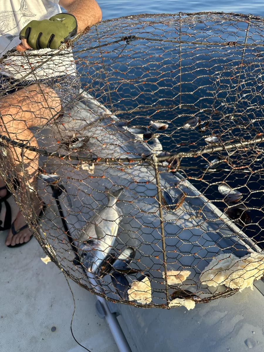 Photos des sorties de pêche de nos hôtes 4