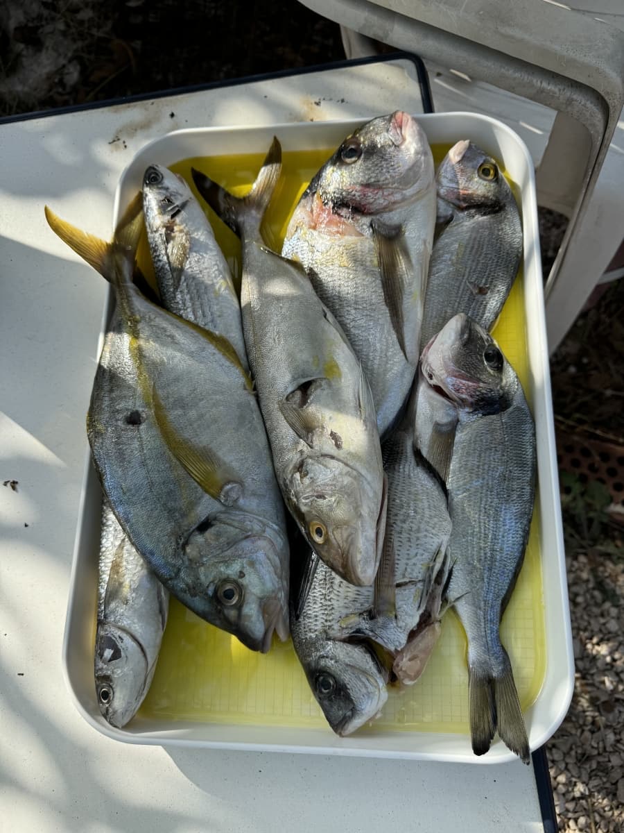 Photos des sorties de pêche de nos hôtes 5