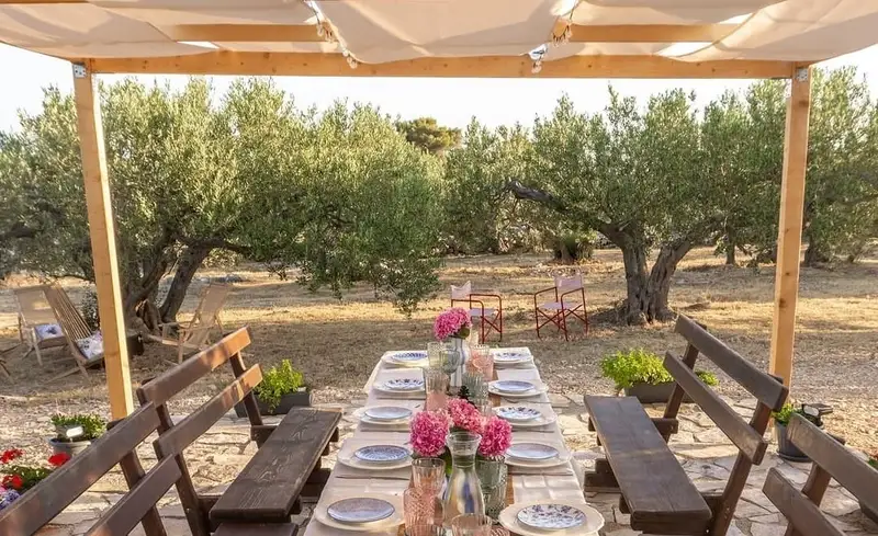 Outdoor dinner among olive trees - Štorija o Šolti in Donje Selo
